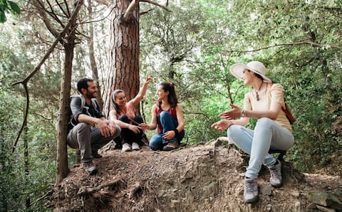 Actividades únicas en Sídney