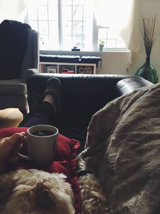 Cozy up with a tea on the couch