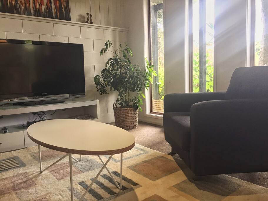 Living room with plenty sunshine