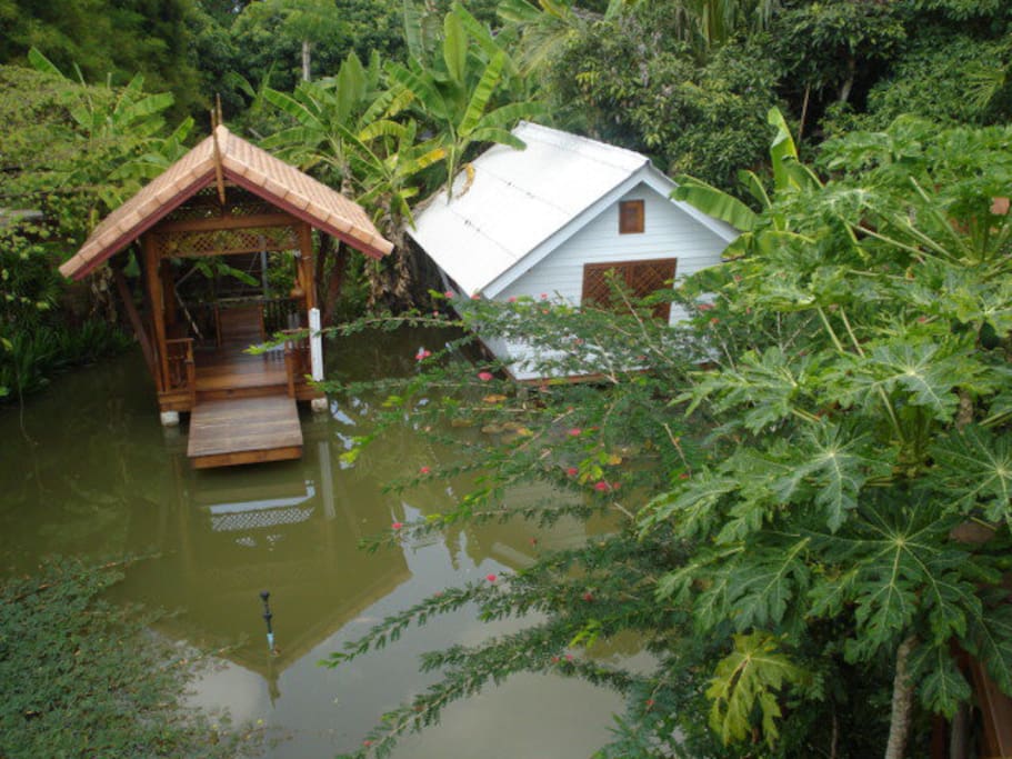 A small pond beside the house with pavilion (left) for guests to enjoy the nature.