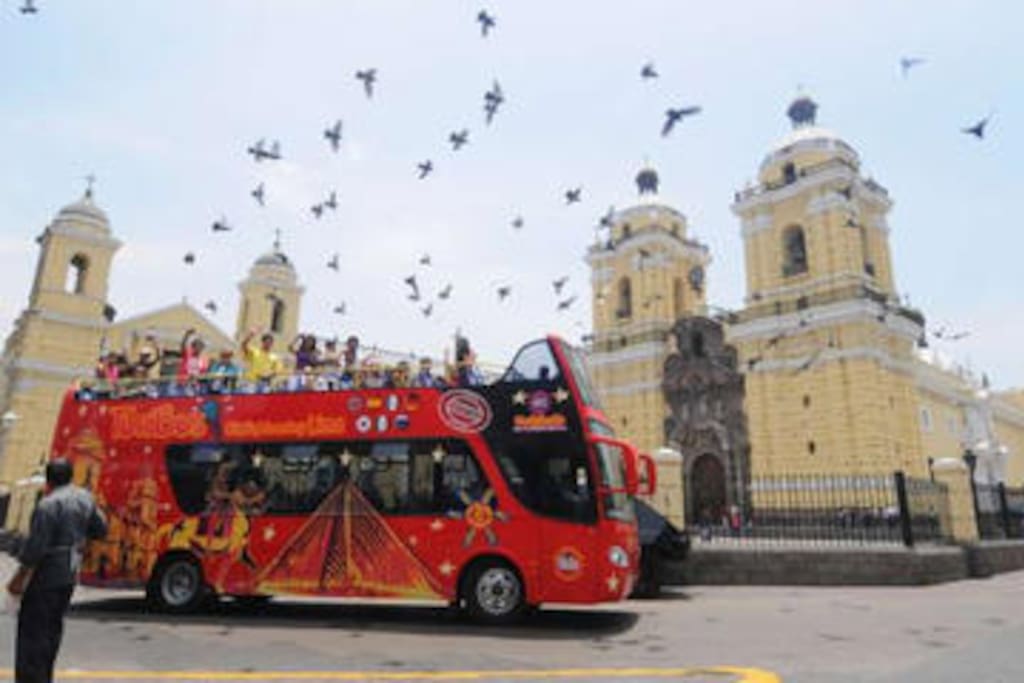 Turibus