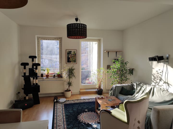 Two cute cats in an artistic flat in Leipzig Apartments for Rent in