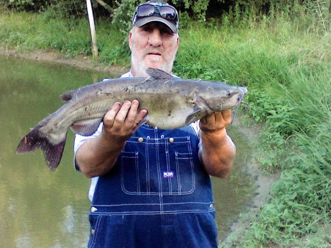 A large fish is being held above the water's edge, showcasing its distinctive shape and features. The backdrop includes a pond surrounded by lush greenery, with grass and foliage framing the scene, contributing to the natural setting.