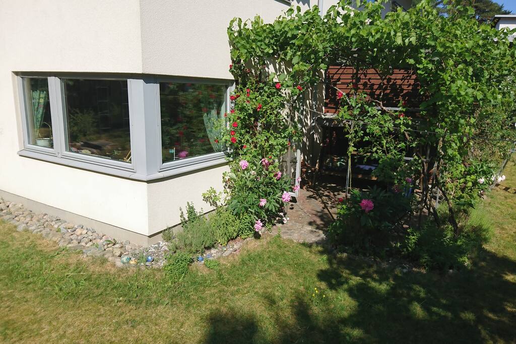 Uteplats på baksidan av huset med utsikt över skogen.