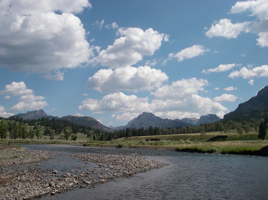 Lamar & Soda Butte Valley - great fishing and animal viewing nearby
