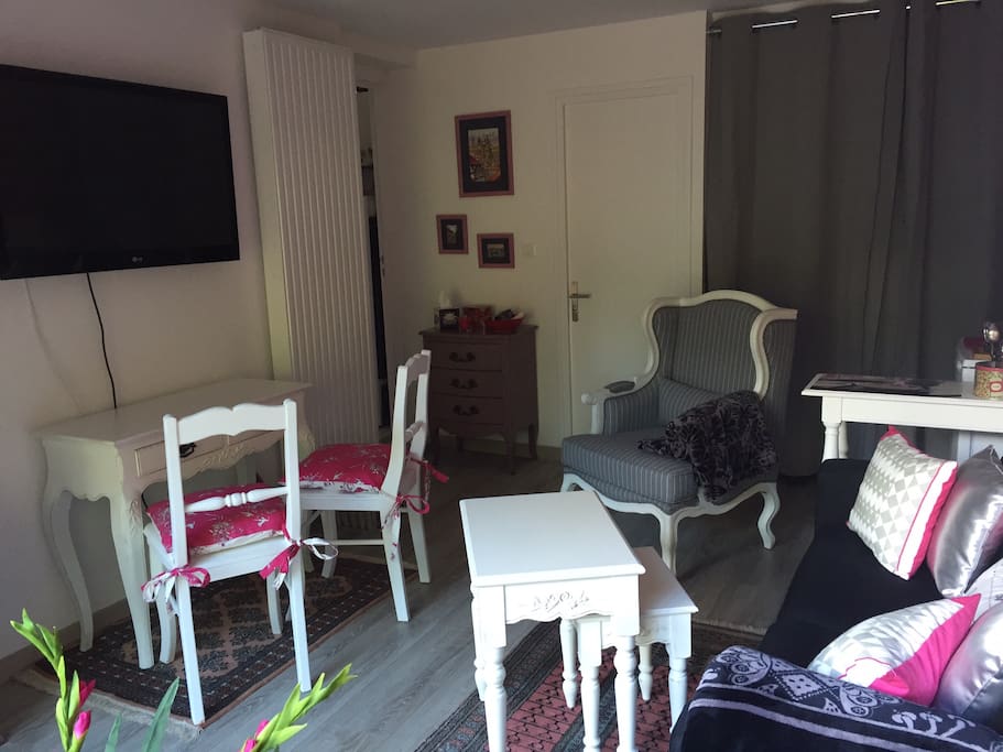 Séjour avec TV écran plat et wifi gratuit