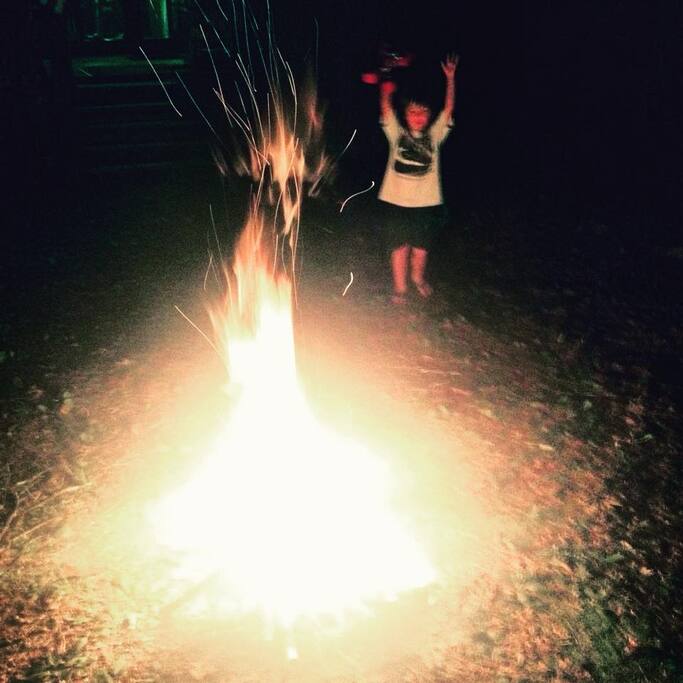 Enjoy a hotdog roast or s'mores next to a spring-fed creek.
