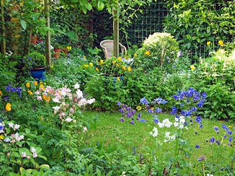 Stadsoase bij Noorderplantsoen