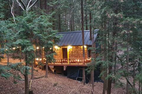 cypress tree house