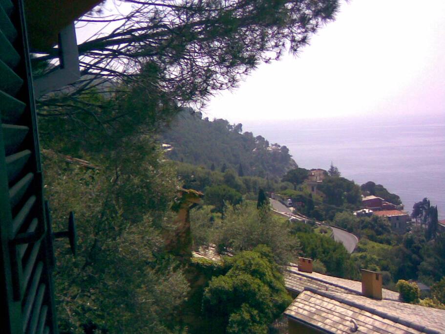 Vista
