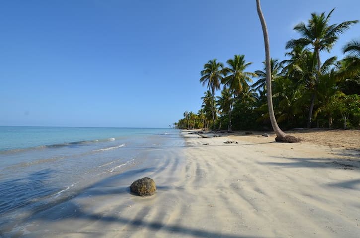 Airbnb Playa Bonita Las Terrenas Holiday Rentals Places To