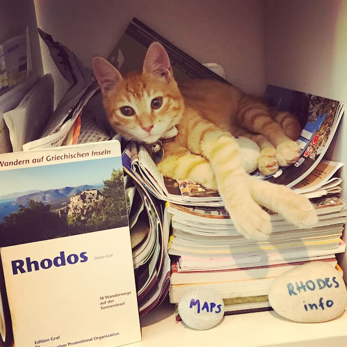 Our kitty "Symi" will give you all the info abou Rhodes!