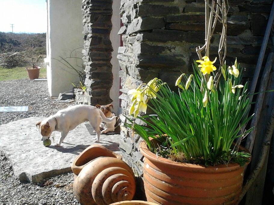 Wild Atlantic view West Cork Houses for Rent in West Cork, Cork, Ireland