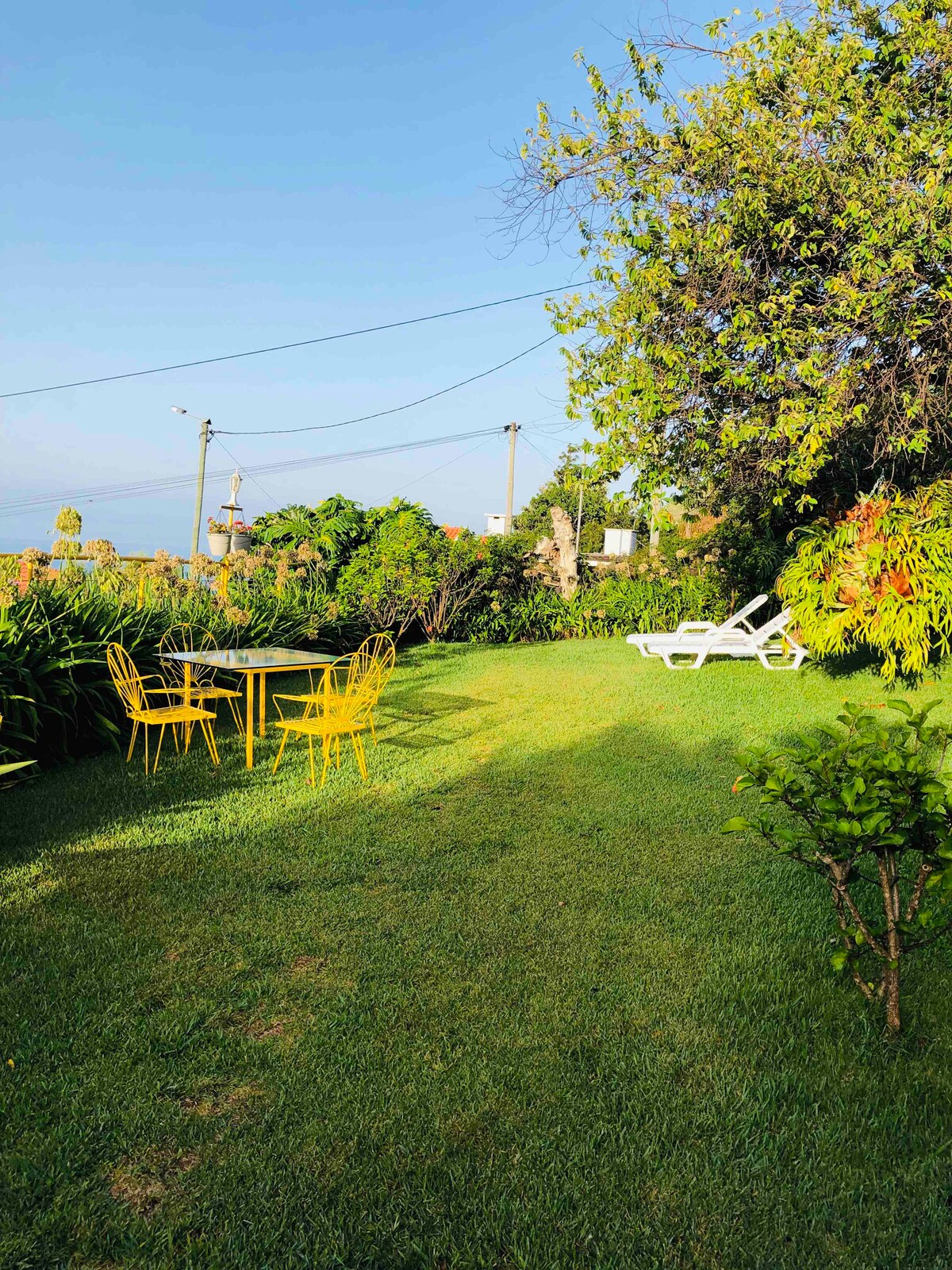 An expansive garden is visible, featuring a yellow outdoor dining set and sun loungers. Lush greenery surrounds the space, along with flowering plants and fruit trees, creating a tranquil setting. The ocean can be seen in the distance, enhancing the serene environment.