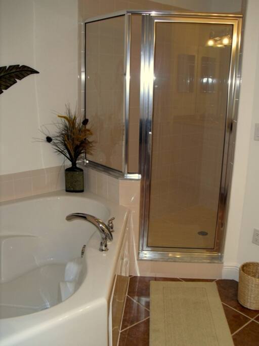 Master bath