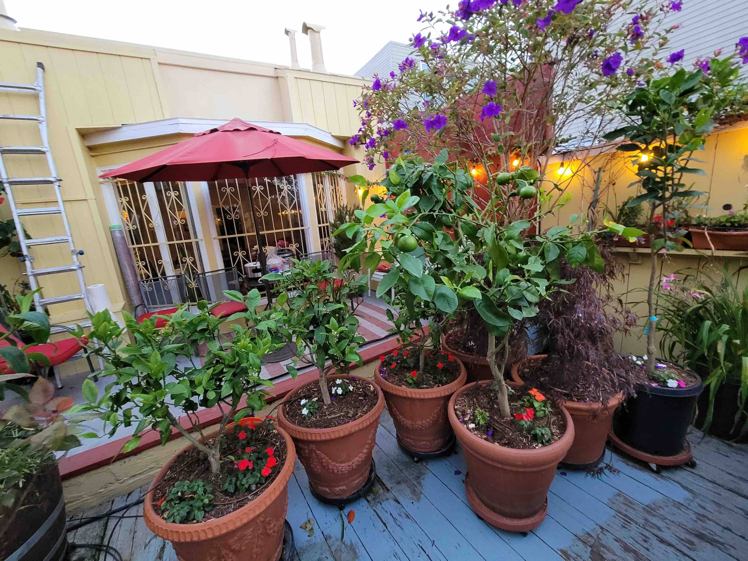 Home in San Francisco · ★4.98 · 2 bedrooms · 1 bed · 1 bath - Image 52