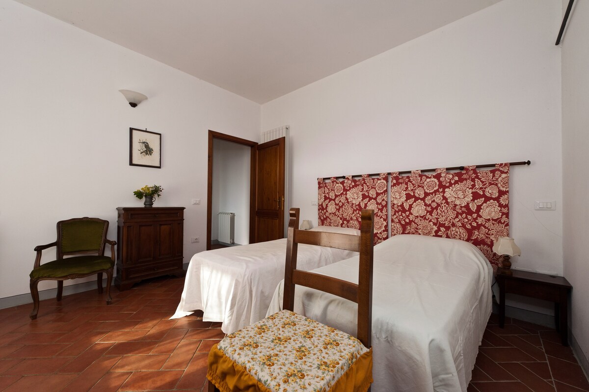 คาเมร่า EST