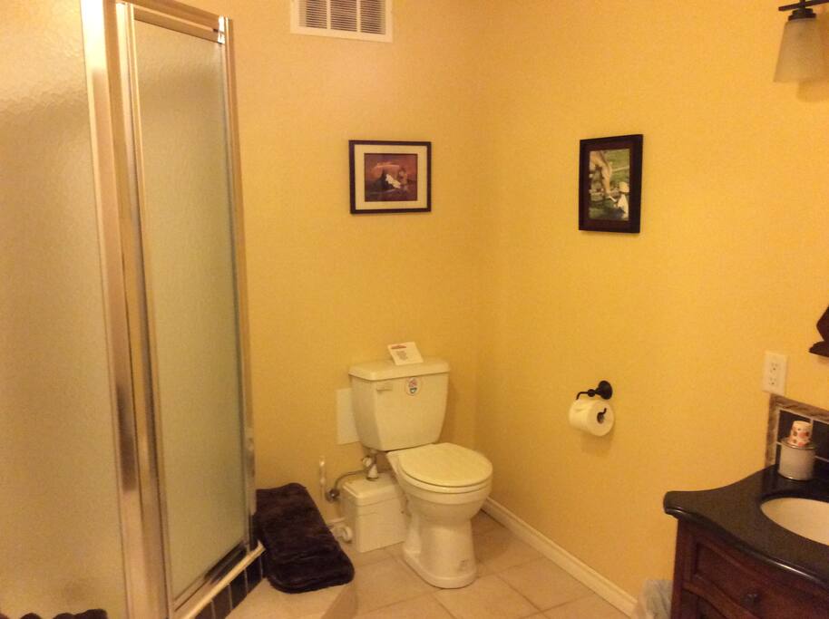 Farm House Lower Suite three piece bathroom