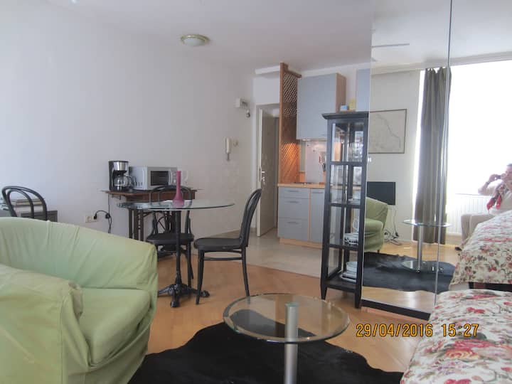 Gs12a Apartment - Vienna