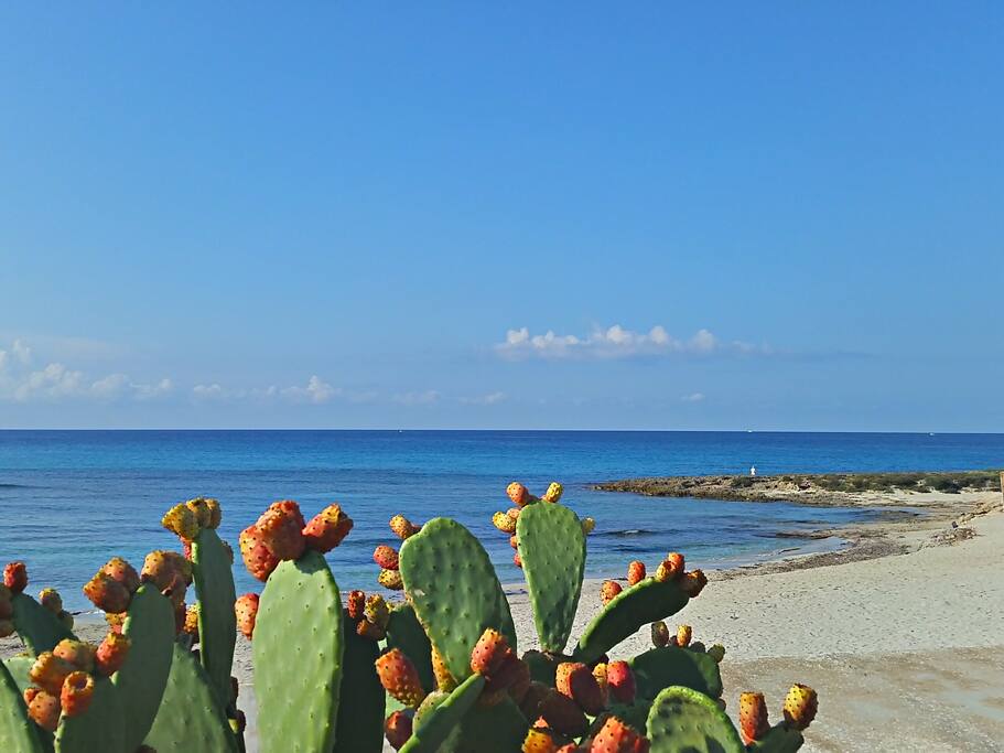 lungomare lido s.giovanni