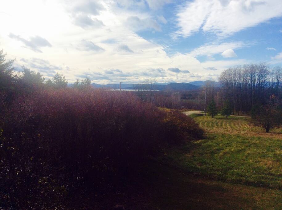 The view from our front deck.