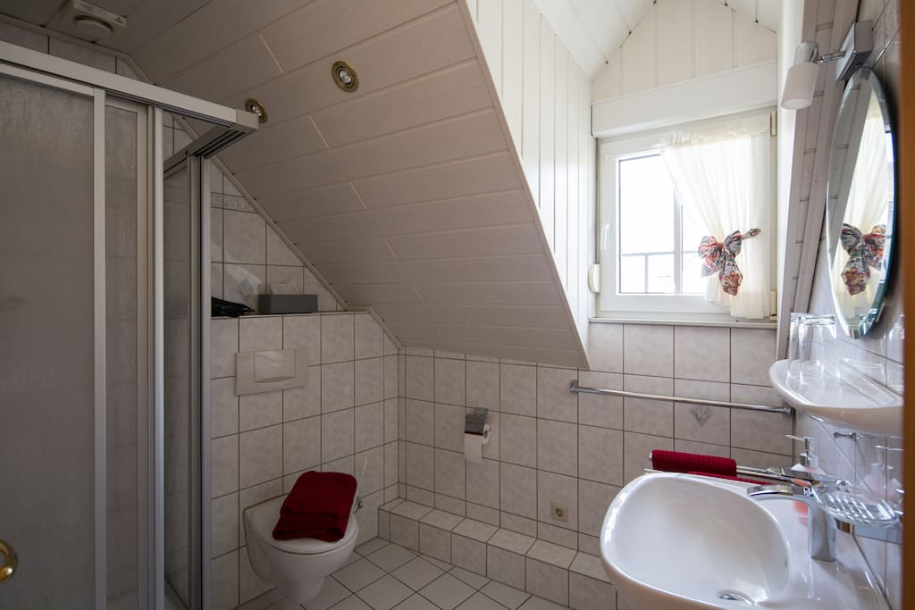 Badezimmer mit Dusche und WC