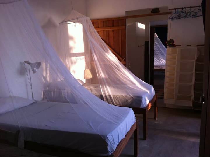 儿童房一楼， 2张单人床，花园景观