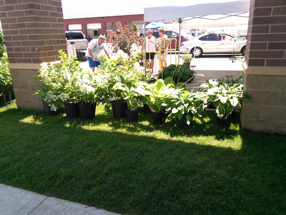 Great Farmers Market