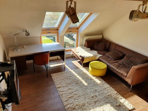 Cosy studio close to the centre of Leuven