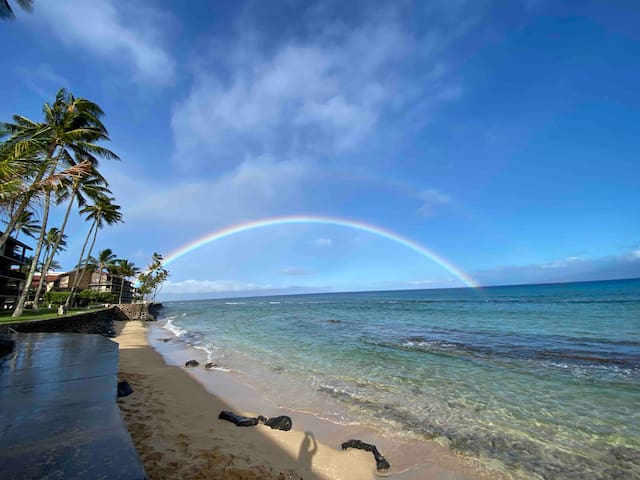 Newly Renovated Gem!