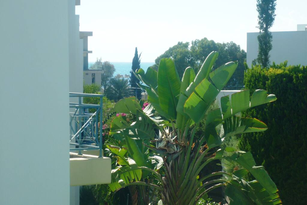 Sea view