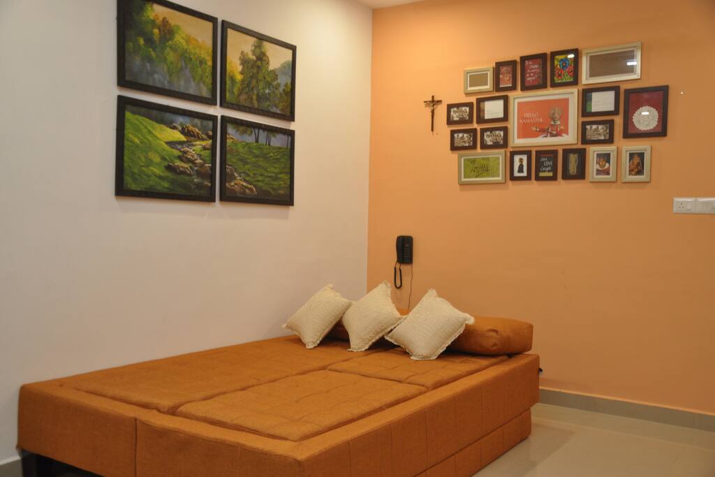 living room sofa/bed