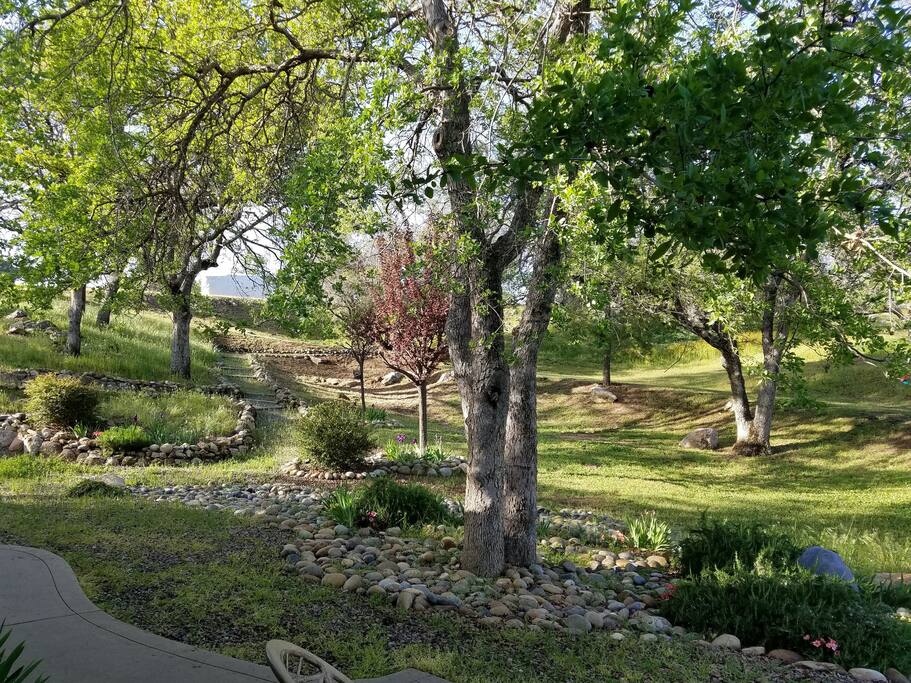 Your Garden View in the Spring