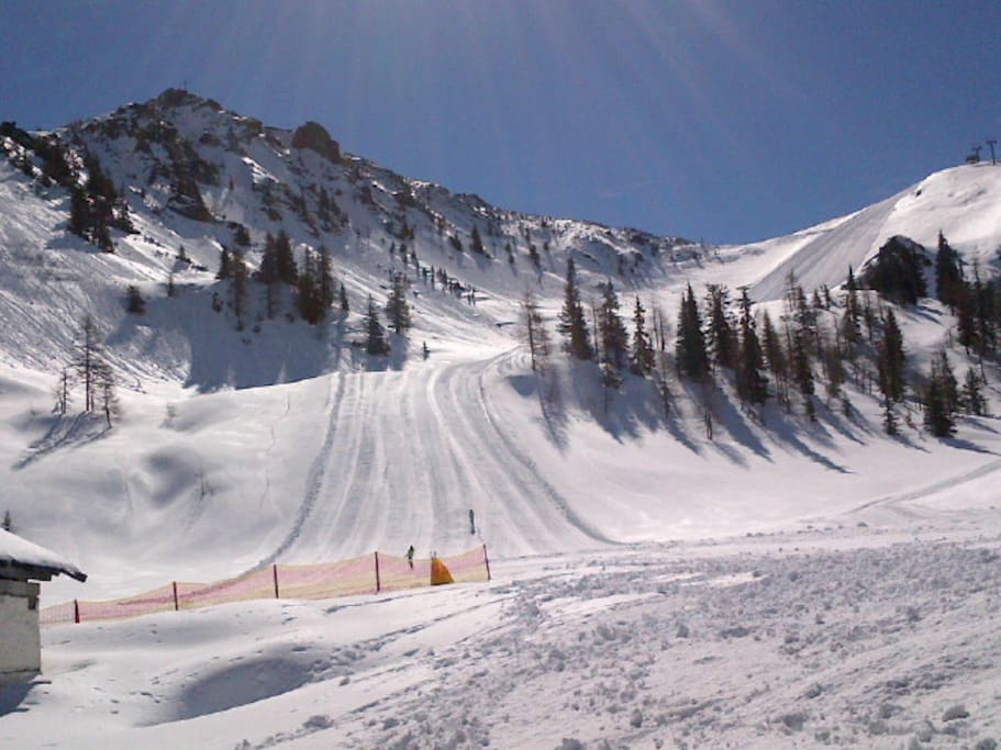 "The Bowl" our favourite piste.