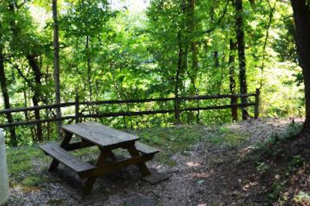Picnic Area beside cabin