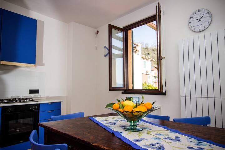 Cà de Lisetta La Vigna Cod. CITRA 009066-LT-0002