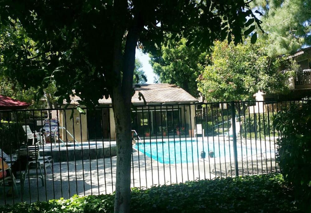 Pool and Jacuzzi