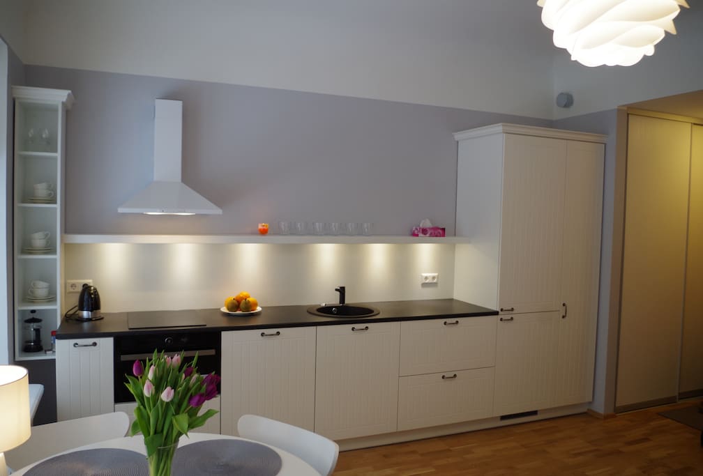 Kitchen (fridge, dishwasher, microwave oven, caffee machine, ceramic cooker, kettle, toaster)