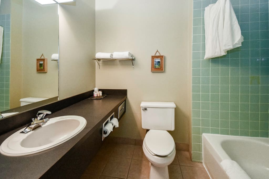 Bathroom with all your needs