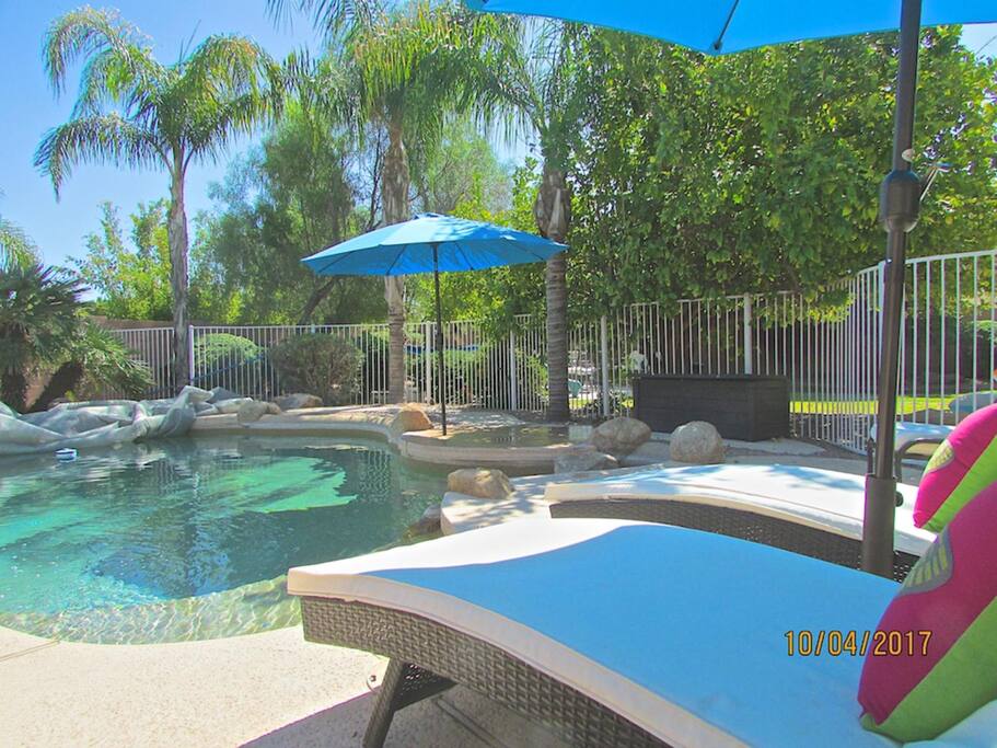 Lush Backyard & Fully Fenced off Pool & Spa
