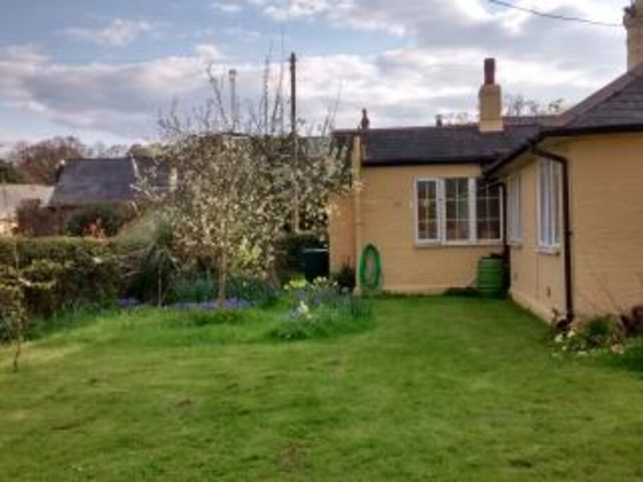 back garden