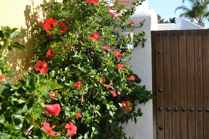 Estudio Atalaya - Conil de la Frontera