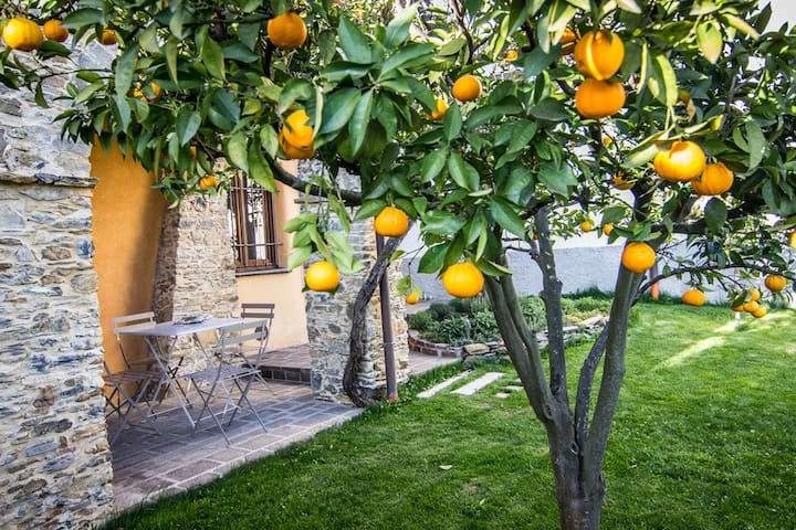 Cà de Lisetta Gli Agrumi Cod. CITRA 009066-LT-0001