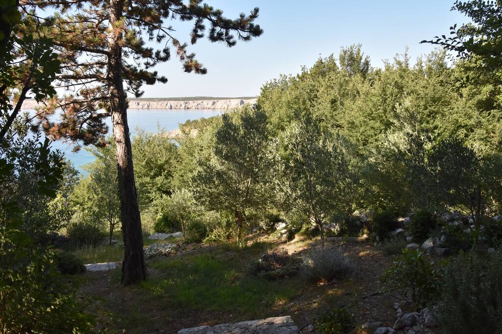 Private pathway to the beach