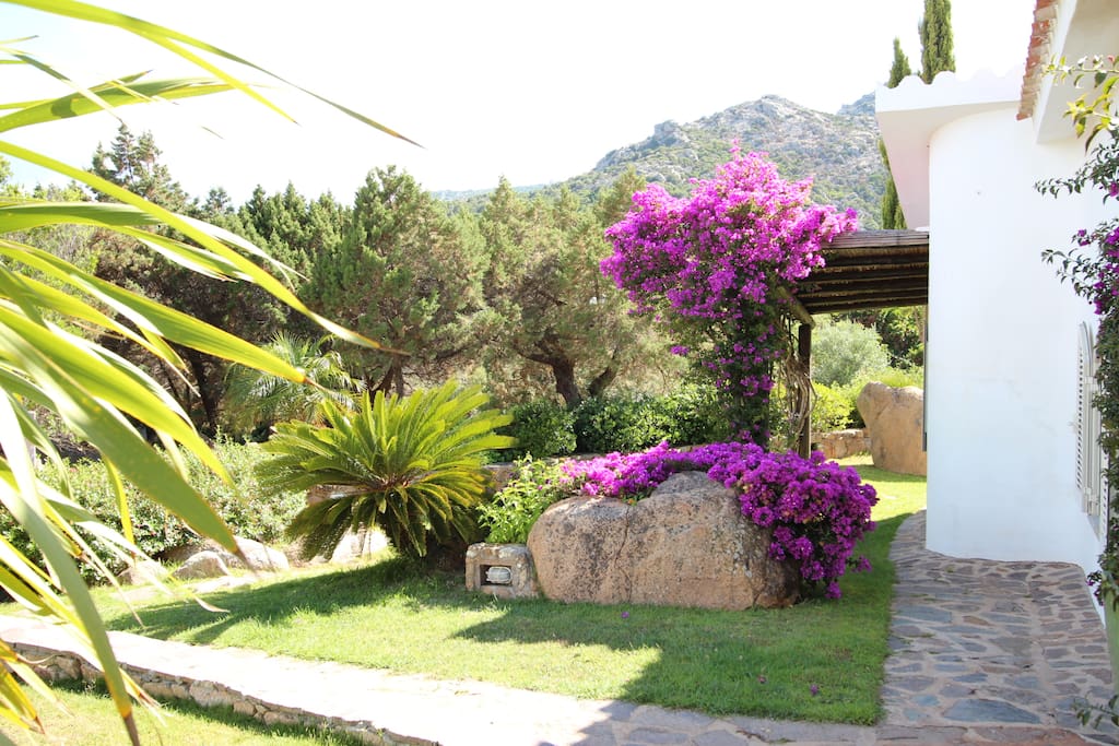 Giardino