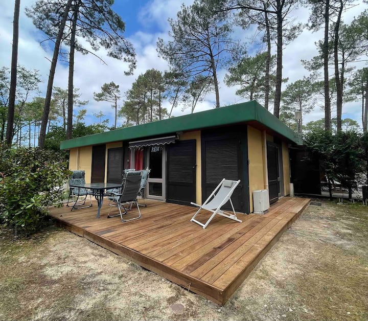 Charmant Bungalow Dans La Forêt Landaise - Landes