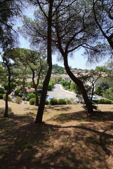View from the enclosed private gardens