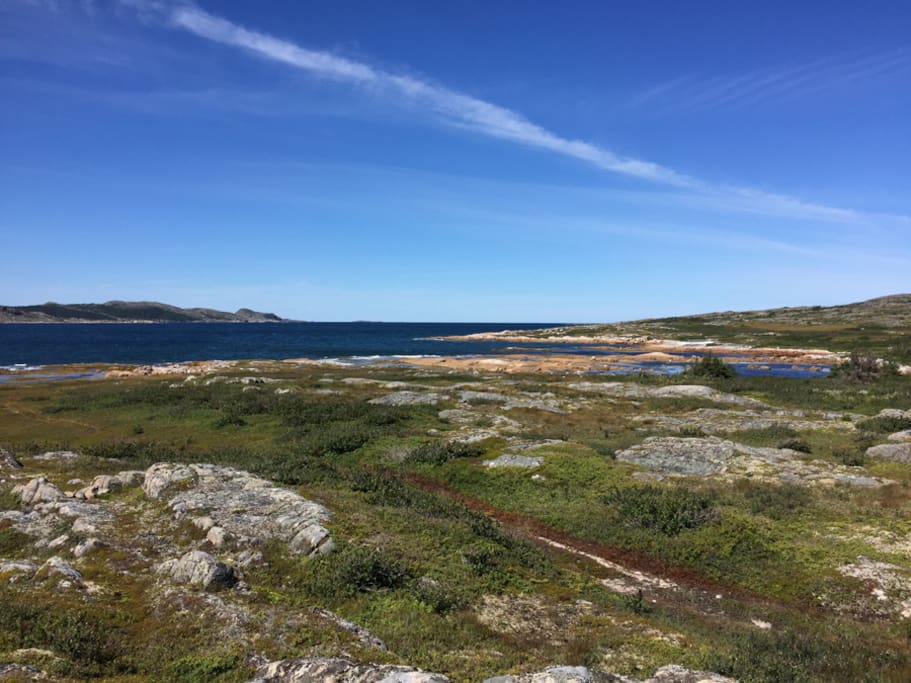 A wander towards the shore