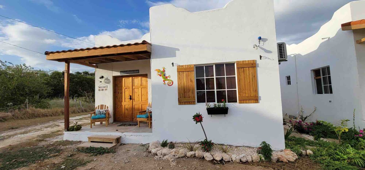 A quaint exterior features whitewashed walls and wooden shutters, creating a charming entrance. A covered porch with two comfortable chairs invites relaxation. A small garden with colorful flowers adds to the welcoming ambiance, while a decorative lizard accentuates the property's unique character.