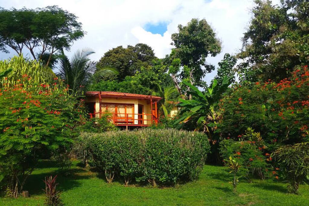 A cute, little house surrounded by a beautiful garden